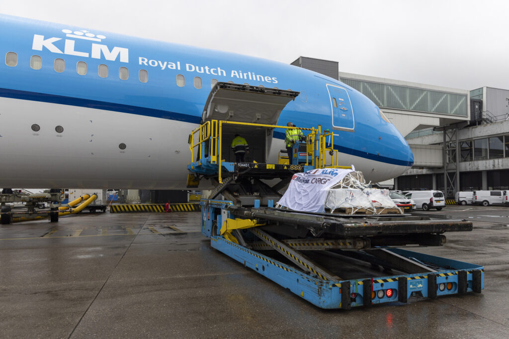 AFKLMP Cargo transports trio of koalas to the Netherlands