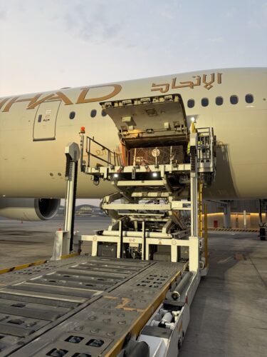 Bears being unloaded in Abu Dhabi